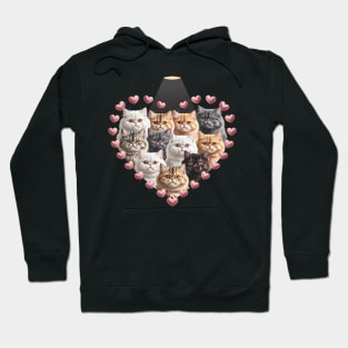 Valentine's Day British Longhair cat Heart Hoodie